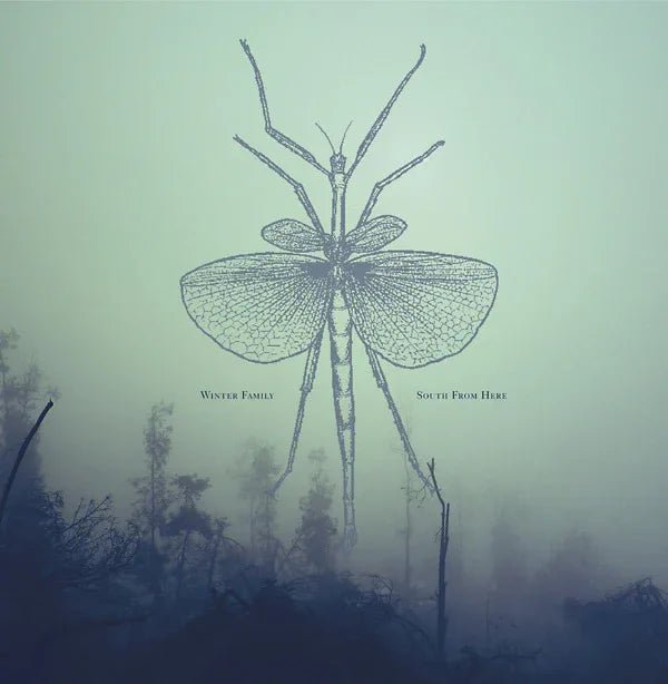 Winter Family - South From Here (LP) - Joco Records