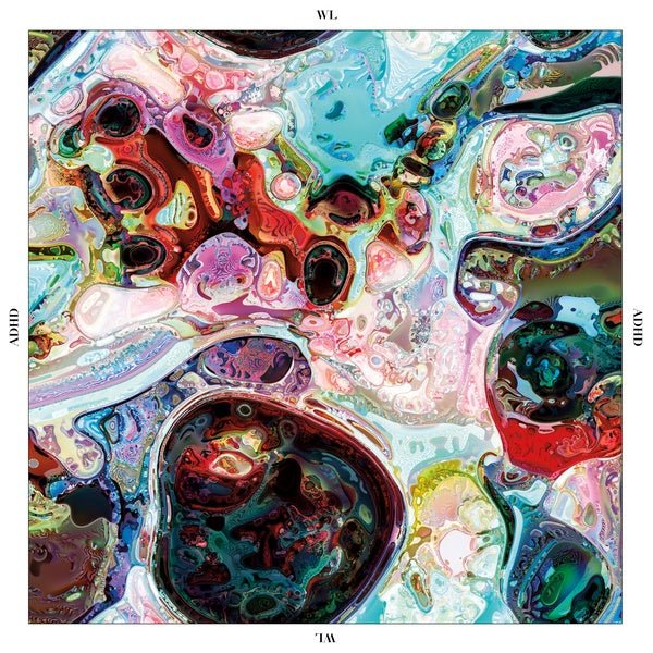 Wl - Adhd (LP) - Joco Records