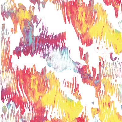 Xiphiidae - Pass Hidingly Seek (LP) - Joco Records
