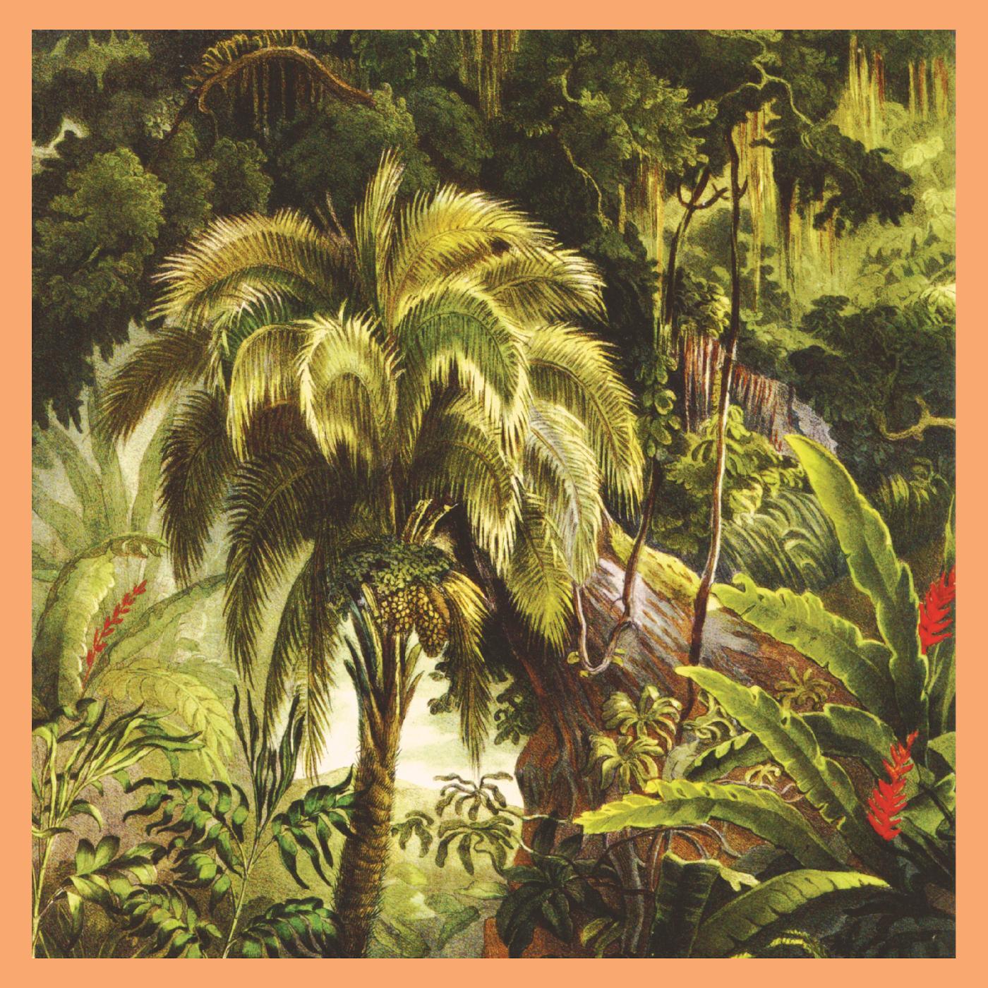 Xiu Xiu - La Foret (Sunset Swirl Vinyl) (LP) - Joco Records