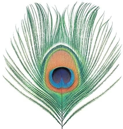 XTC - Apple Venus Vol. 1 (200 Gram Vinyl) (Import) (LP) - Joco Records