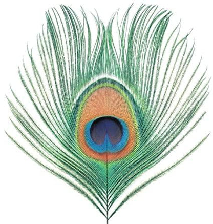 XTC - Apple Venus Vol. 1 (200 Gram Vinyl) (Import) (LP) - Joco Records