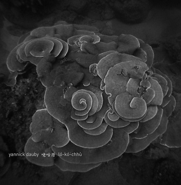 Yannick Dauby - Penghu Experimental Sound Studio Vol. 2 (LP) - Joco Records