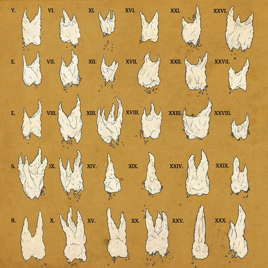 Yeesh - Confirmation Bias (Red VINYL)