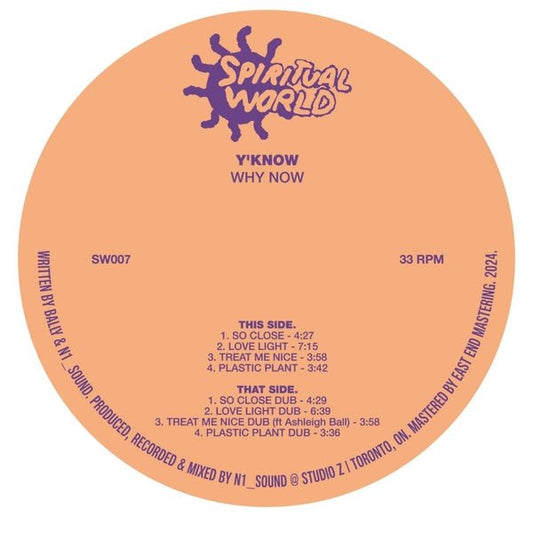 Y'Know - Why Now (12") (LP) - Joco Records