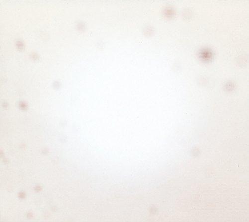 Yo La Tengo - There's A Riot Going On (2 LP) - Joco Records