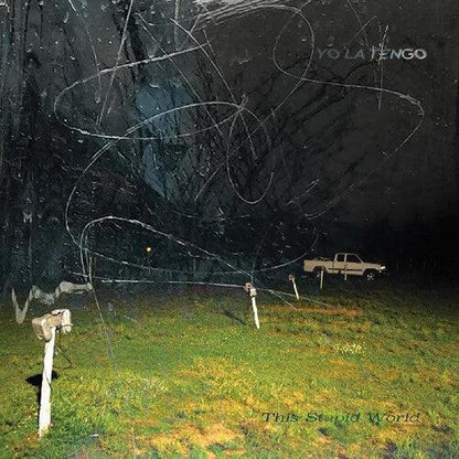 Yo La Tengo - This Stupid World (2 LP) - Joco Records