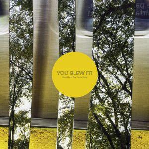 You Blew It! - Keep Doing What You're Doing (Limited Edition, Color Vinyl) (LP) - Joco Records