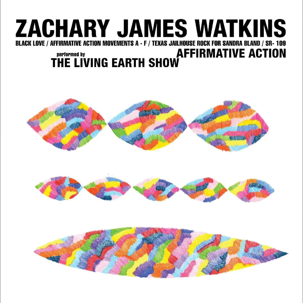 Zachary James Watkins - Affirmative Action (LP) - Joco Records