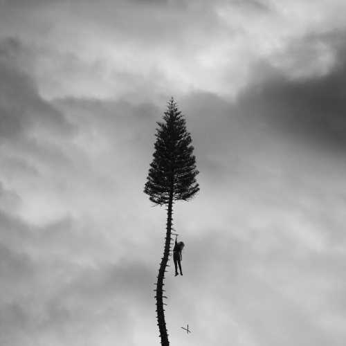 Manchester Orchestra - A Black Mile To The Surface (Gray Marble 2 LP) - Joco Records