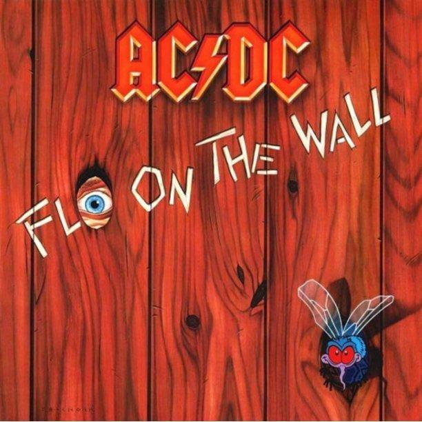 AC/DC - Fly On The Wall (Remastered, 180 Gram) (LP) - Joco Records
