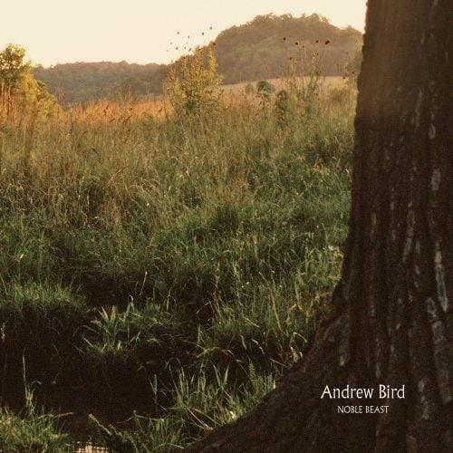 Andrew Bird - Noble Beast (LP) - Joco Records