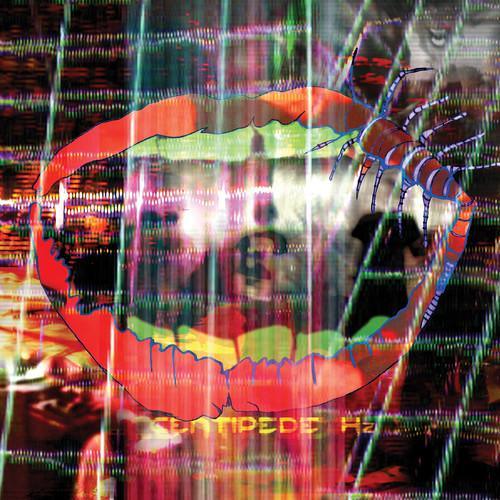 Animal Collective - Centipede Hz (2 LP) - Joco Records