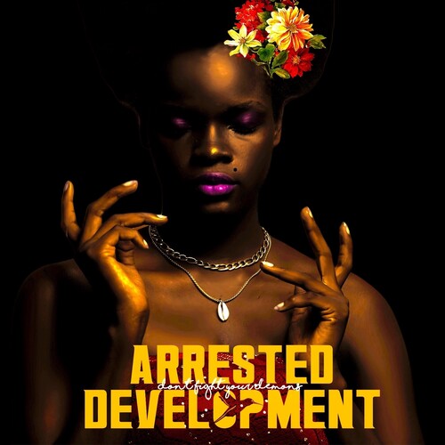 Arrested Development - Don't Fight Your Demons (2 LP) - Joco Records