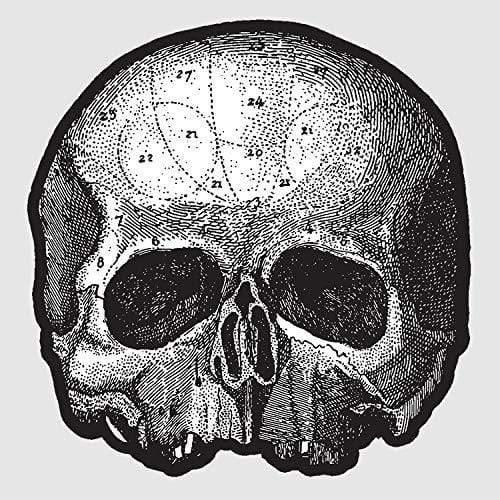 Black Label Society - Black Pearl 10” (Die Cut Skull Pic Disc) - Joco Records