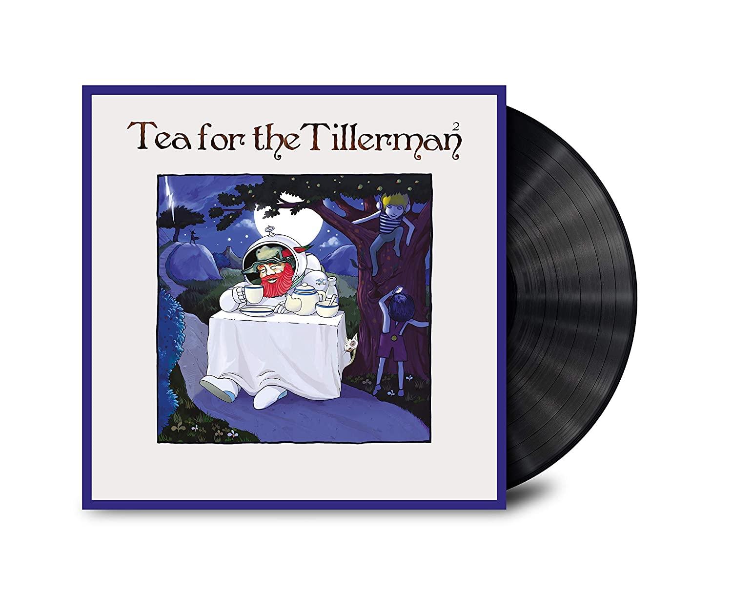 Cat Stevens - Tea For The Tillerman 2 (Remastered, 180 Gram) (LP) - Joco Records
