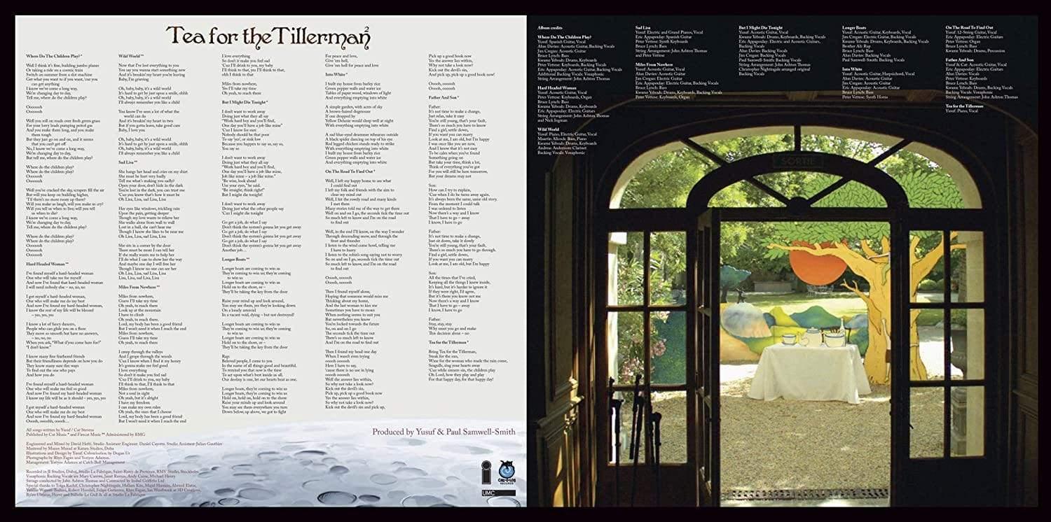 Cat Stevens - Tea For The Tillerman 2 (Remastered, 180 Gram) (LP) - Joco Records