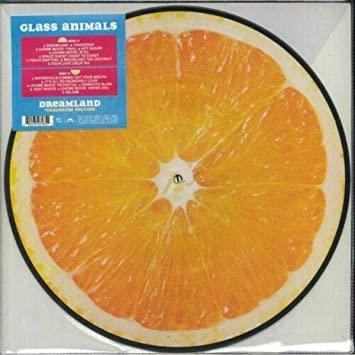 Glass Animals - Dreamland (Limited Edition Import, Picture Disc) (LP) - Joco Records