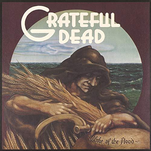 Grateful Dead - Wake Of The Flood (LP)(Rocktober 2018 Exclusive) - Joco Records
