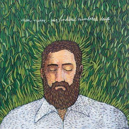 Iron & Wine - Our Endless Numbered Days (Vinyl) - Joco Records