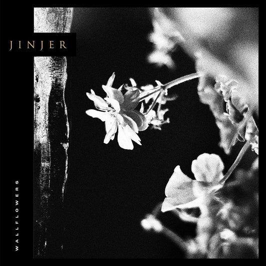 Jinjer - Wallflowers (LP) - Joco Records