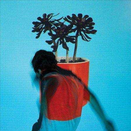 Local Natives - Sunlit Youth (Lp) - Joco Records