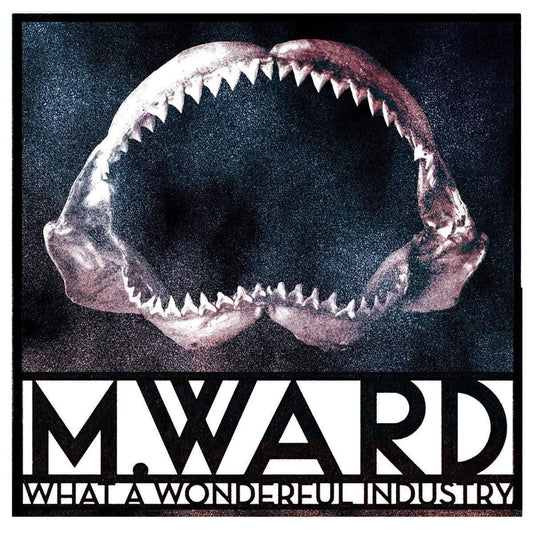 M. Ward - What A Wonderful Industry  (Vinyl) - Joco Records