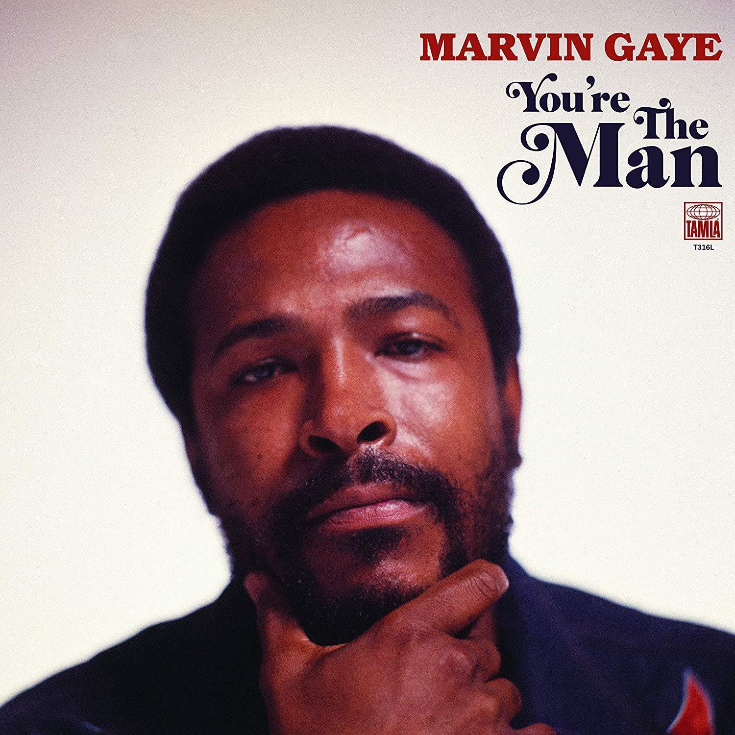 Marvin Gaye - You're The Man (2 LP) - Joco Records