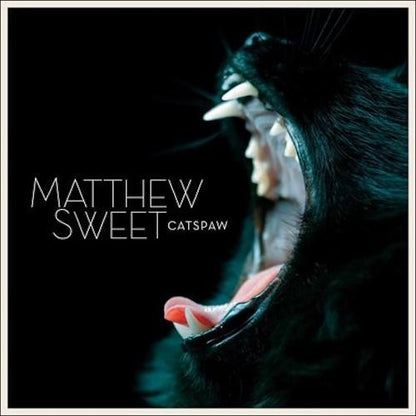 Matthew Sweet - Catspaw (Limited, Indie Exclusive, Orange Color) (LP) - Joco Records