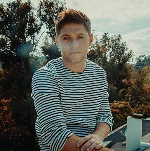 Niall Horan - Flicker (LP) - Joco Records