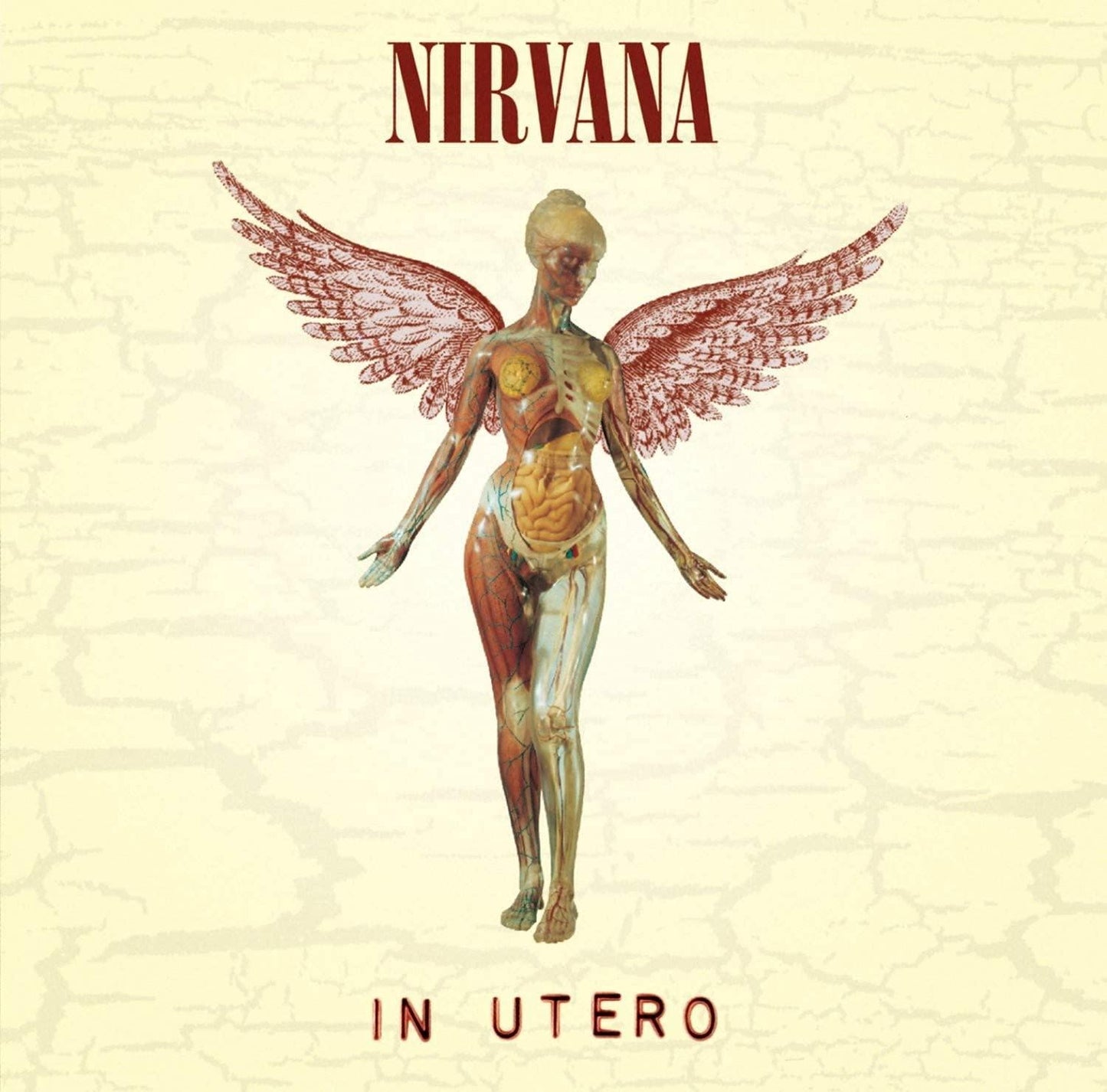 Nirvana - In Utero (Remastered, 180 Gram) (LP) - Joco Records
