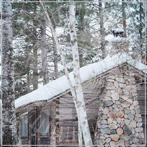 Panopticon - Scars Of Man On The Once Nameless Part 2  (Vinyl) - Joco Records