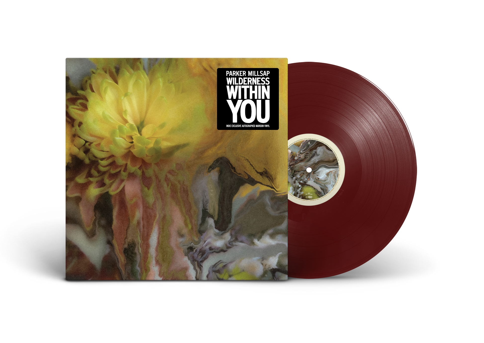 Parker Millsap - Wilderness Within You (Indie Exclusive) (Vinyl) - Joco Records