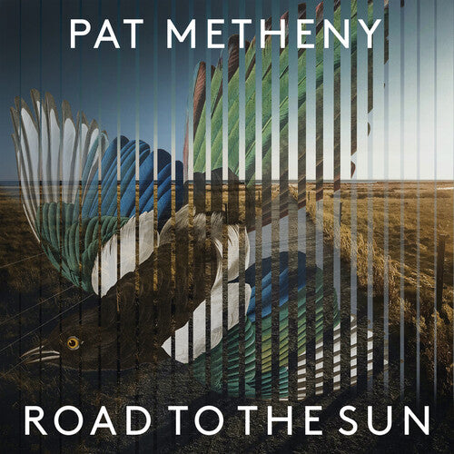 Pat Metheny - Road To The Sun (2 LP) - Joco Records