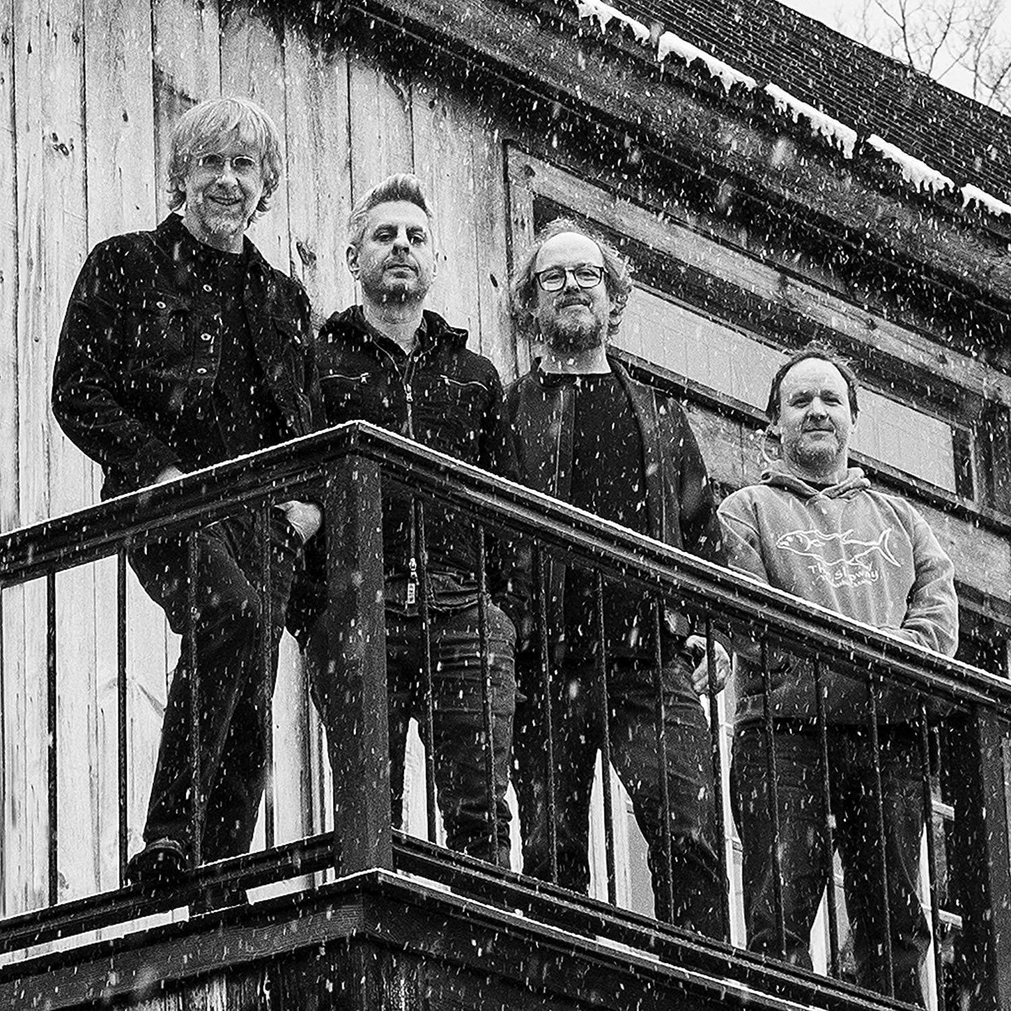Phish - Sigma Oasis (Limited Edition, Gatefold, Sea-foam & Black Split Vinyl) (2 LP) - Joco Records