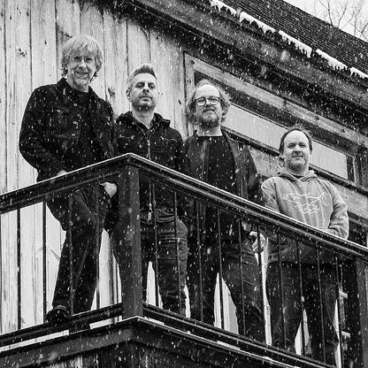 Phish - Sigma Oasis (Limited Edition, Gatefold, Sea-foam & Black Split Vinyl) (2 LP) - Joco Records