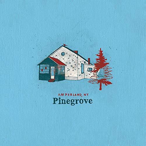 Pinegrove - Amperland, Ny - Joco Records