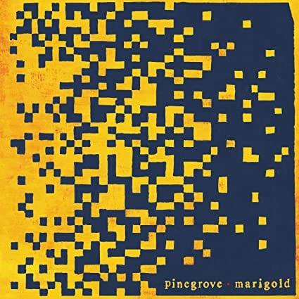 Pinegrove - Marigold (LP) - Joco Records