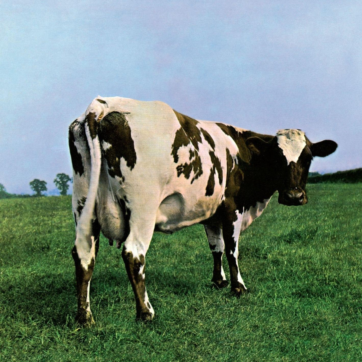 Pink Floyd - Atom Heart Mother (2011 Remaster, Gatefold, 180 Gram) (LP) - Joco Records