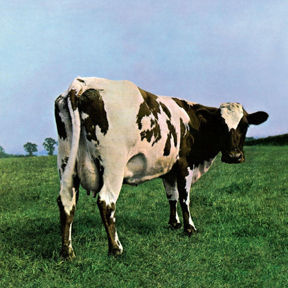 Pink Floyd - Atom Heart Mother (2011 Remaster, Gatefold, 180 Gram) (LP) - Joco Records