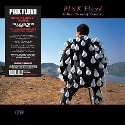 Pink Floyd - Delicate Sound Of Thunder  (Vinyl) - Joco Records