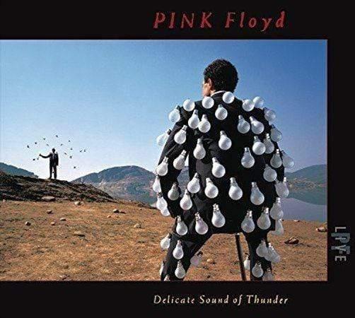Pink Floyd - Delicate Sound Of Thunder (Live) (Vinyl) - Joco Records