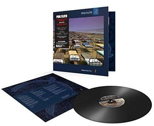 Pink Floyd - Pink Floyd - Momentary Lapse Of Reason (2011 Remastered) LP - Joco Records