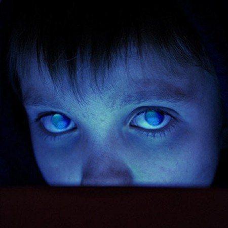 Porcupine Tree - Fear Of A Blank Planet (2 LP) - Joco Records