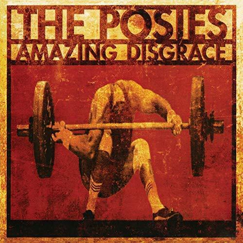 Posies - Amazing Disgrace - Joco Records