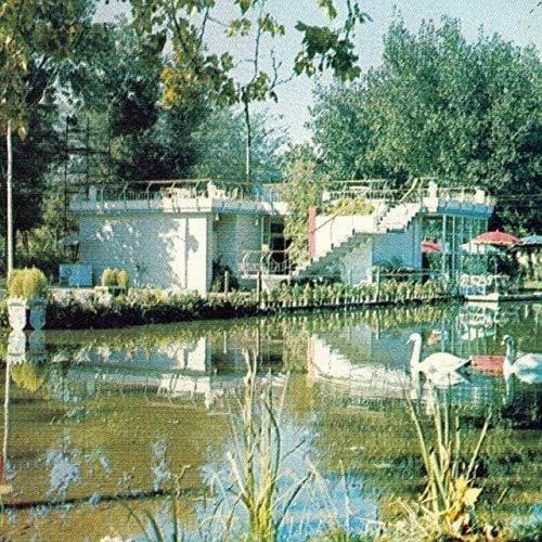 Real Estate - Real Estate (Vinyl) - Joco Records