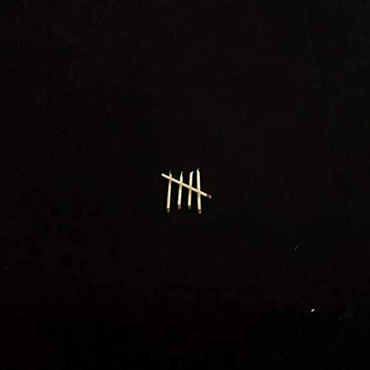 Sault - Sault 5 (LP) - Joco Records