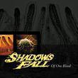 Shadows Fall - Of One Blood (Yellow Vinyl, Black Marble Vinyl) (LP) - Joco Records