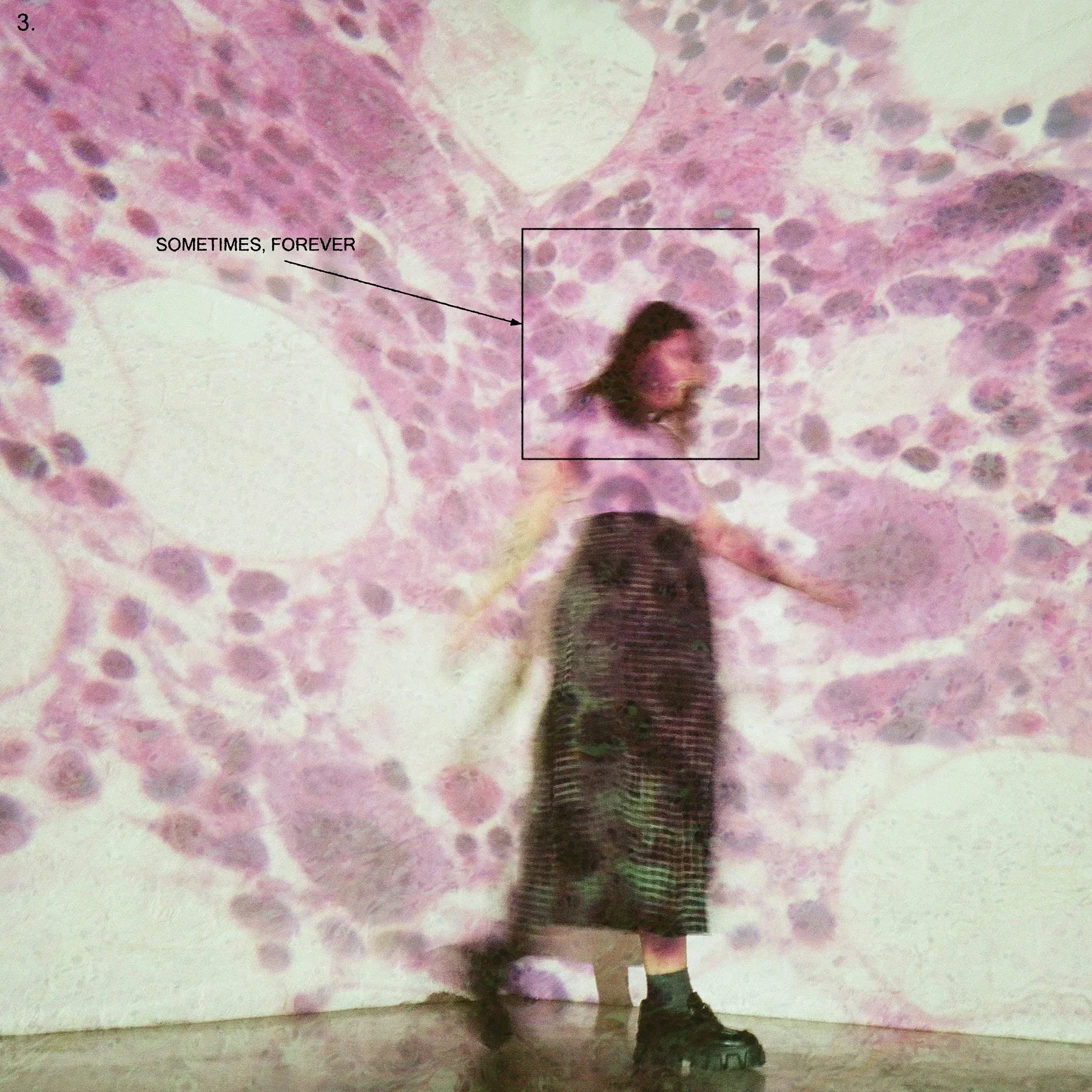 Soccer Mommy - Sometimes, Forever (Violet Color Vinyl, LP) - Joco Records