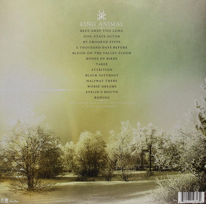 Soundgarden - King Animal (Gatefold, 180 Gram) (2 LP) - Joco Records